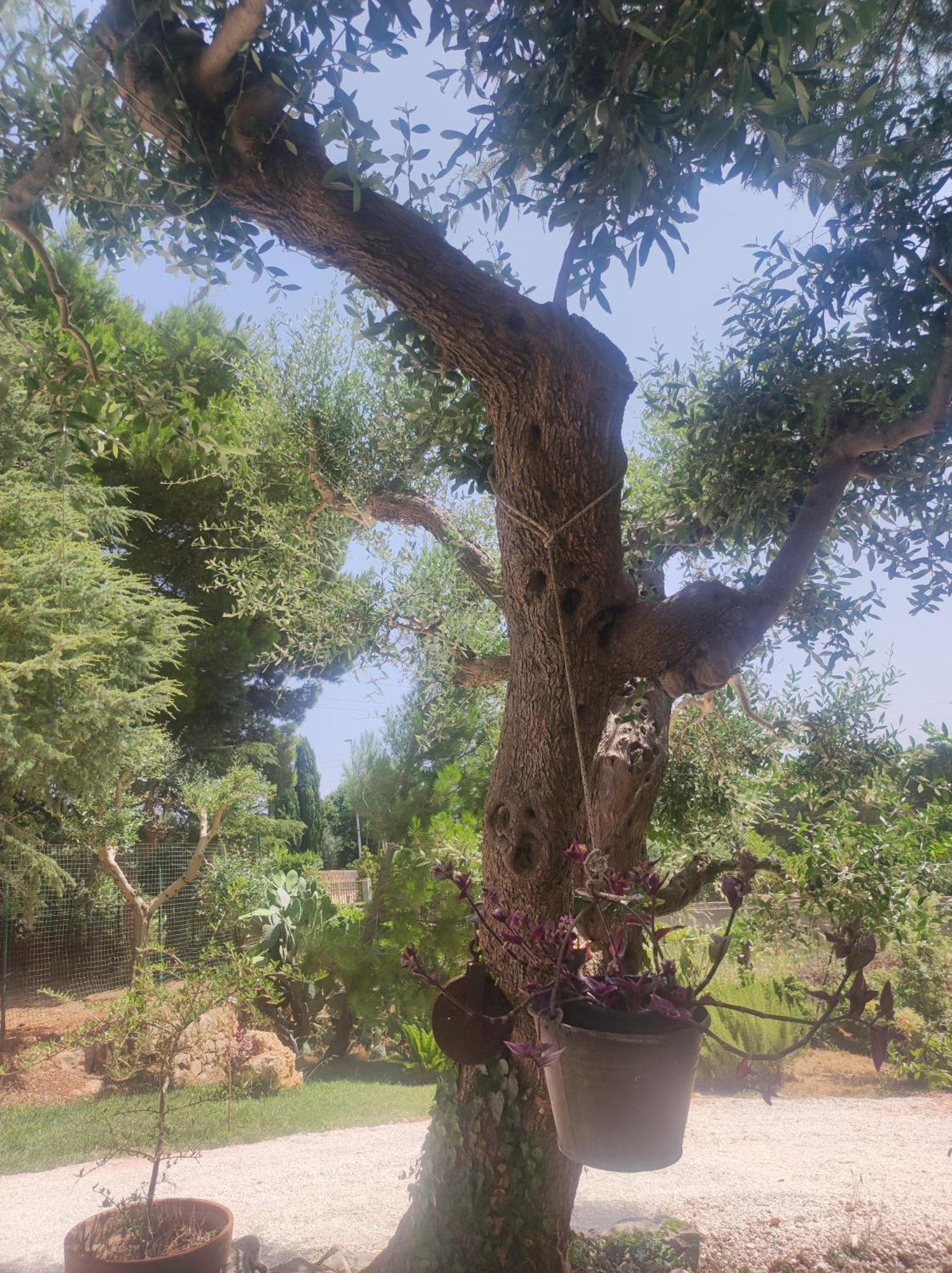 Dea Villa Putignano Dış mekan fotoğraf